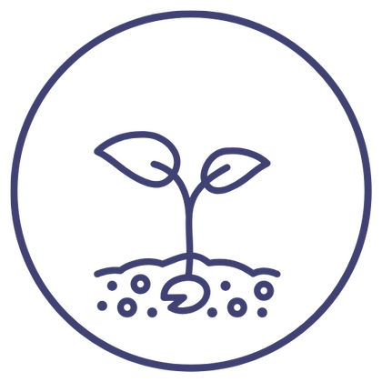 Early Stage Startups Icon representing Early Stage Startups