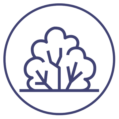 Businesses in rapid growth phase Icon representing rapidly growing startups